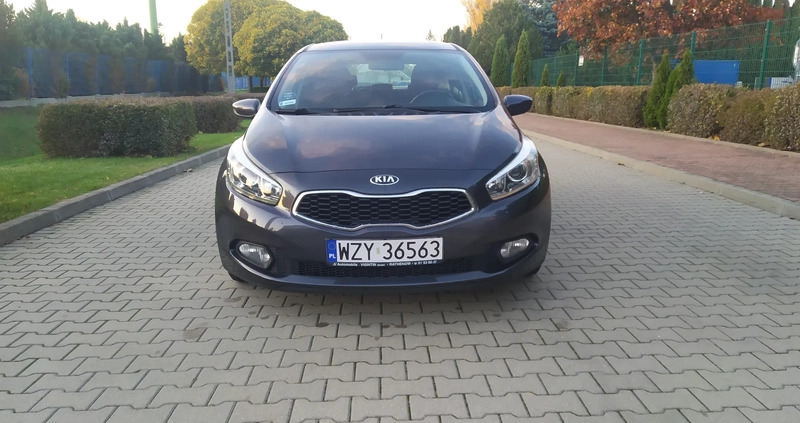 Kia Ceed cena 33700 przebieg: 178500, rok produkcji 2012 z Żyrardów małe 301